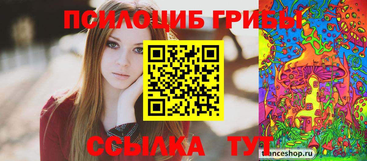 Галлюциногенные грибы прущие грибы Кольчугино